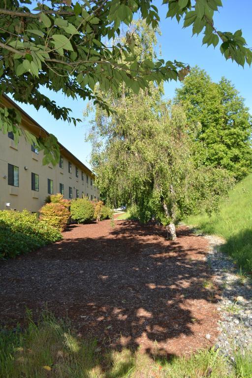 Super 8 By Wyndham Port Angeles At Olympic National Park Μοτέλ Εξωτερικό φωτογραφία
